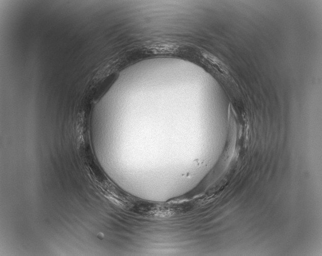 X0000067830604200605041625