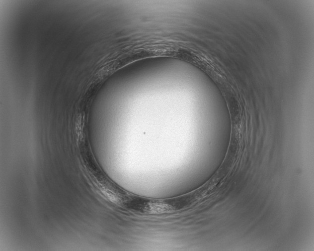 X0000067830605200605041625