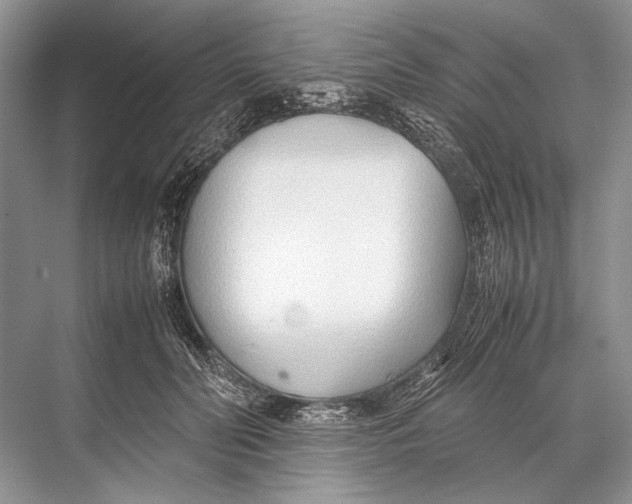 X0000067830606200605041625