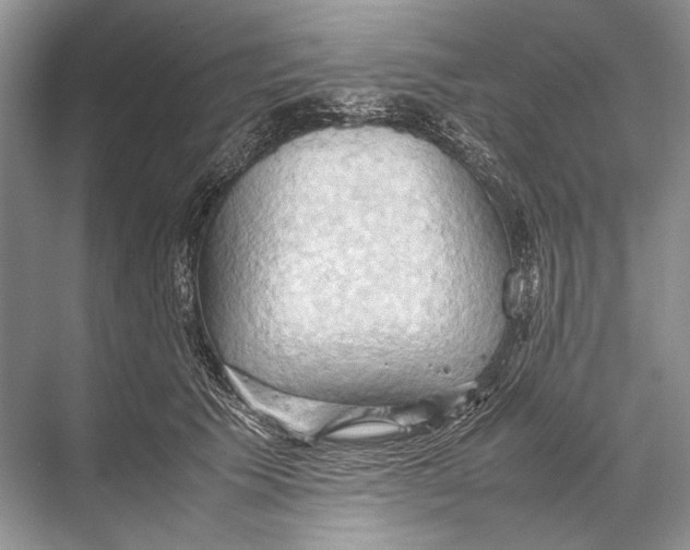 X0000067830609200605041625