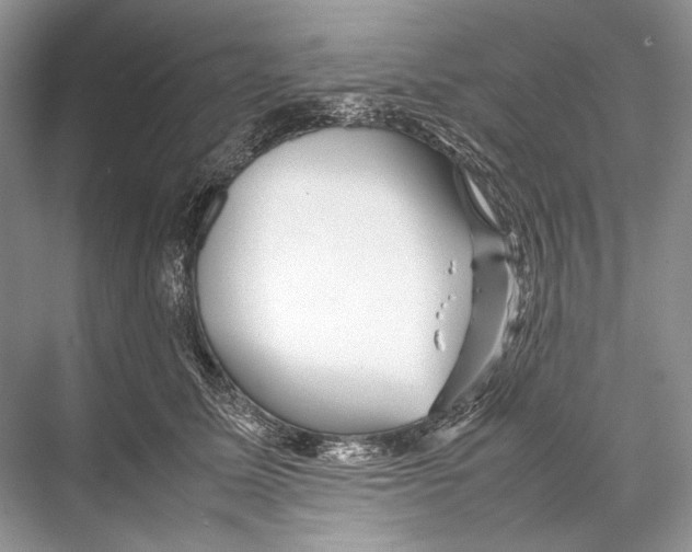 X0000067830611200605041625