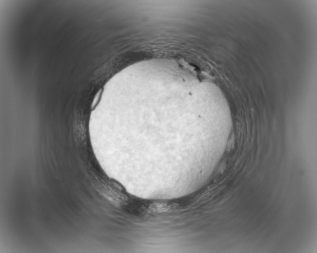 X0000067830613200605041625