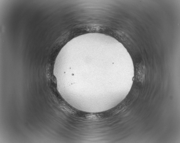 X0000067830616200605041625