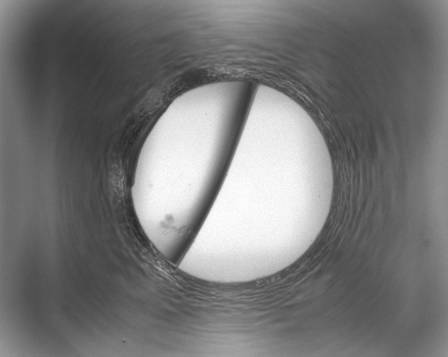 X0000067830617200605041625