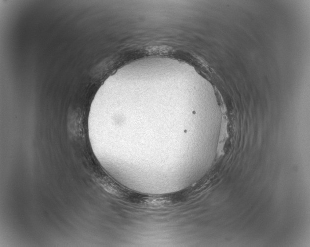 X0000067830619200605041625