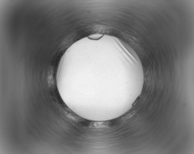 X0000067830622200605041625