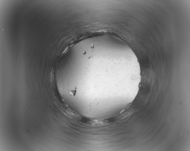 X0000067830623200605041625