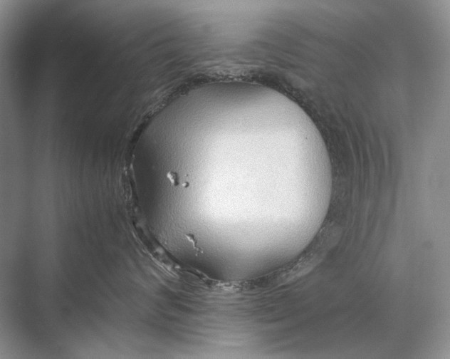 X0000067830624200605041625