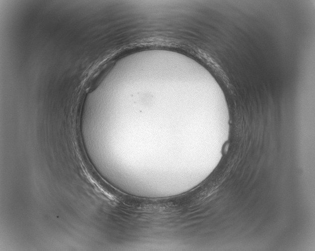 X0000067830625200605041624