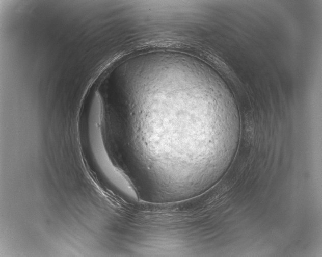 X0000067830626200605041624