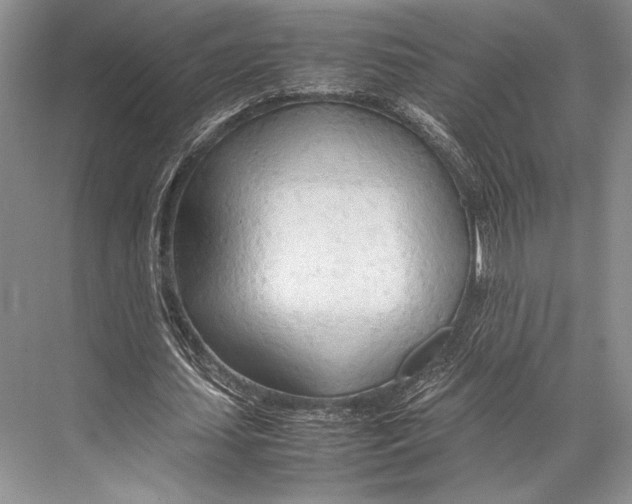 X0000067830627200605041624