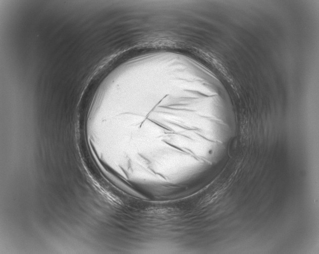 X0000067830629200605041624