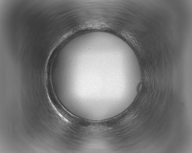 X0000067830630200605041624