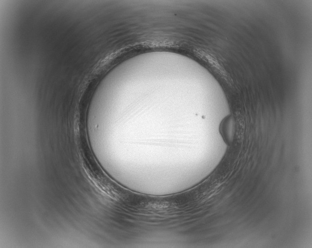 X0000067830631200605041624