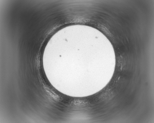 X0000067830632200605041624