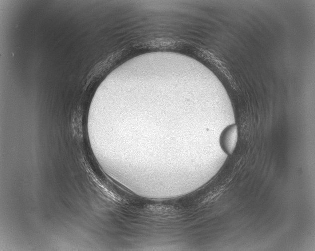 X0000067830633200605041624