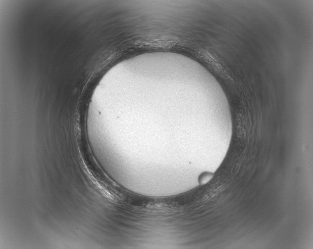 X0000067830634200605041624