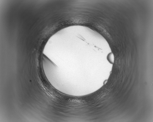 X0000067830635200605041624