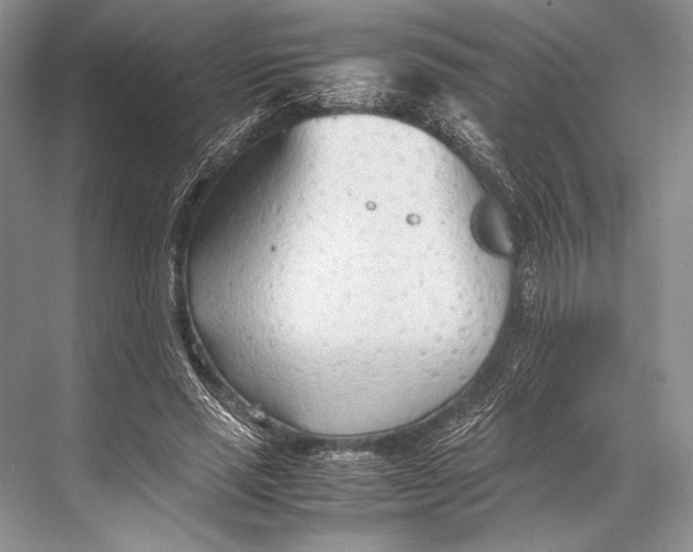 X0000067830637200605041624