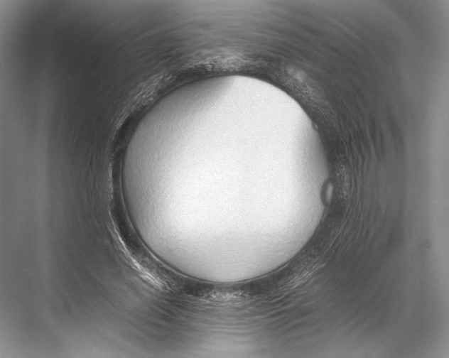 X0000067830638200605041624