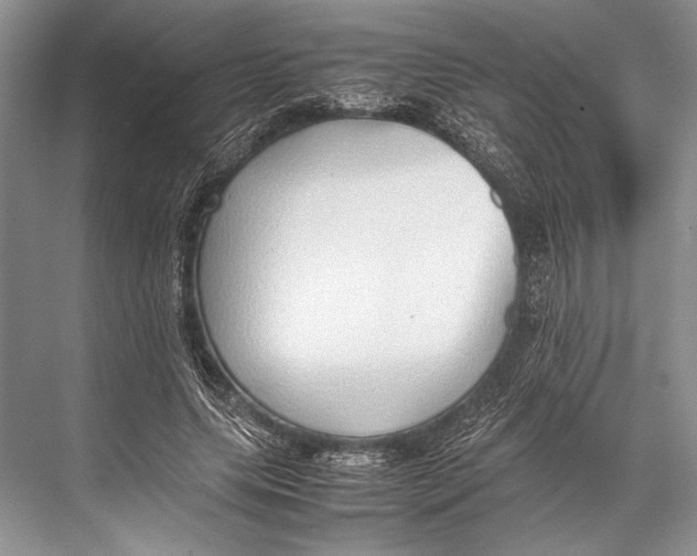 X0000067830639200605041624