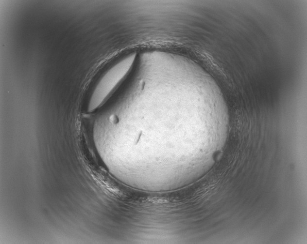 X0000067830640200605041624