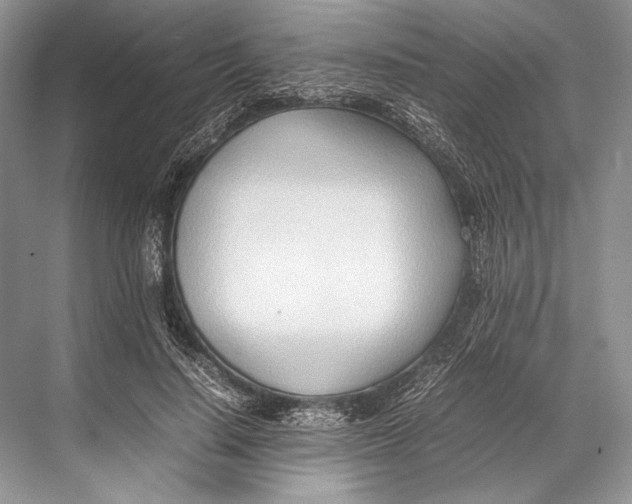 X0000067830644200605041624