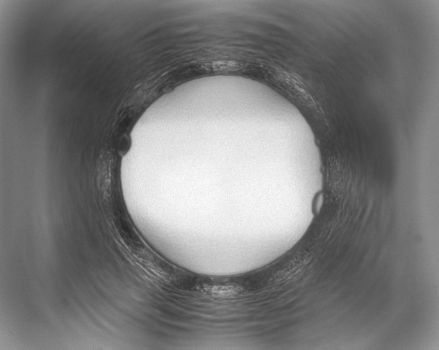 X0000067830645200605041624