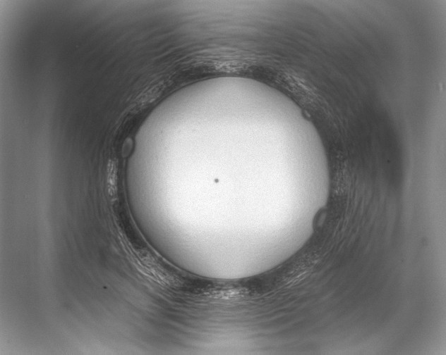 X0000067830646200605041624