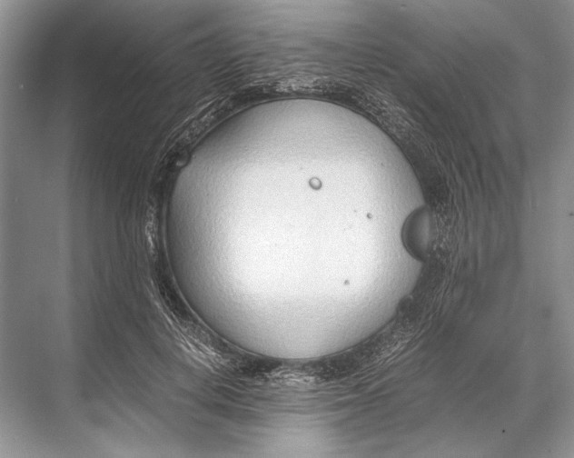 X0000067830648200605041625