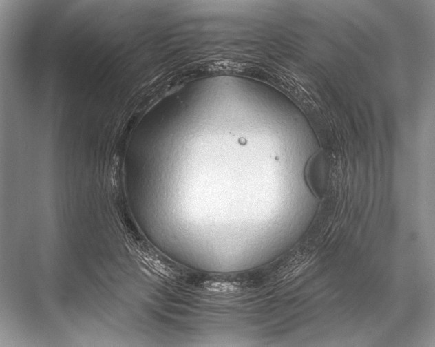 X0000067830649200605041625