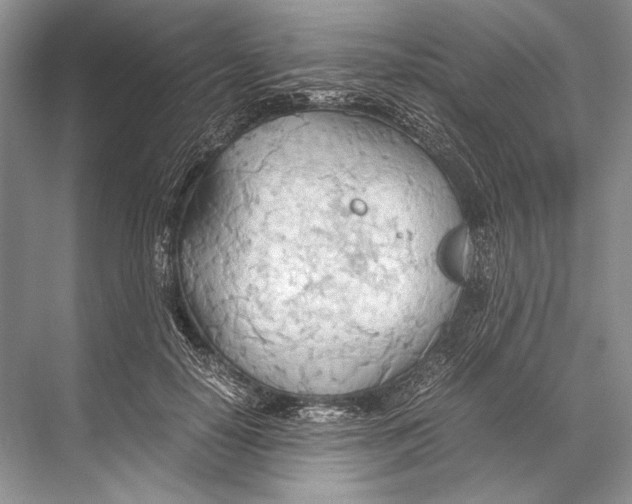 X0000067830650200605041625