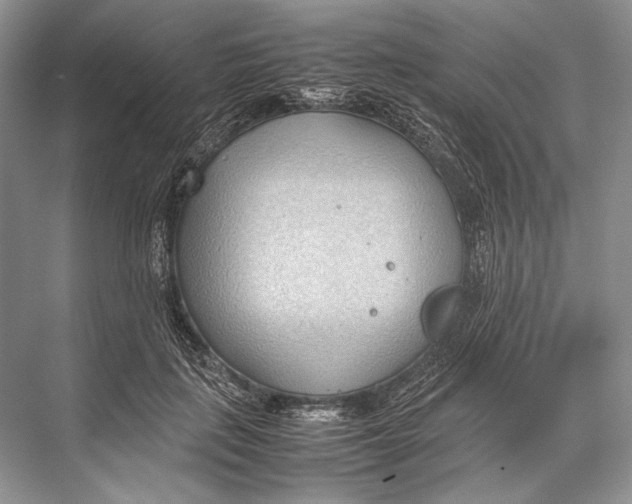 X0000067830651200605041625