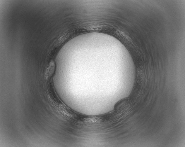 X0000067830652200605041625