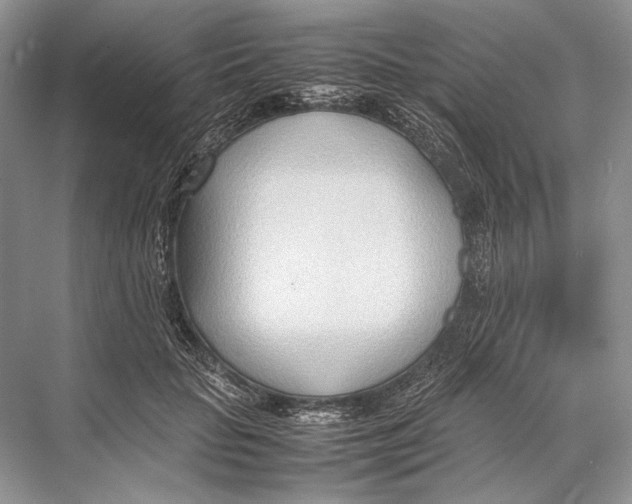 X0000067830653200605041625