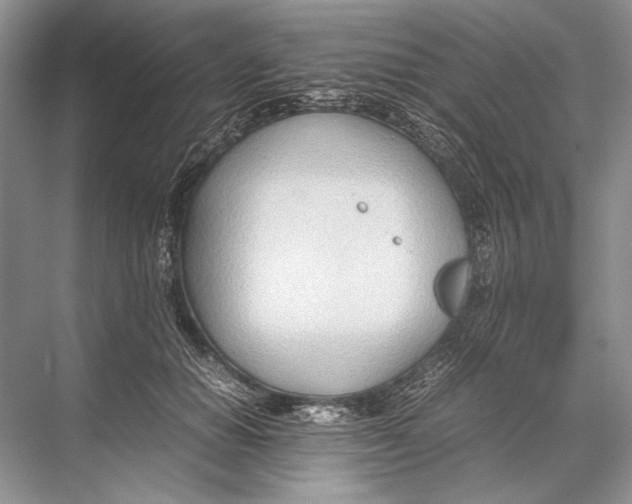 X0000067830654200605041625