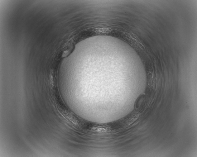 X0000067830655200605041625