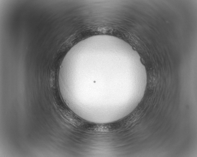 X0000067830656200605041625