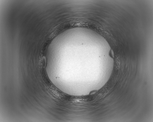 X0000067830657200605041625