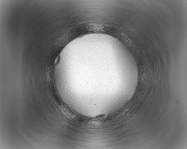 X0000067830658200605041625