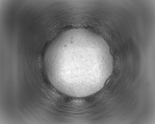 X0000067830659200605041625