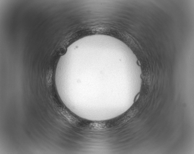 X0000067830660200605041625