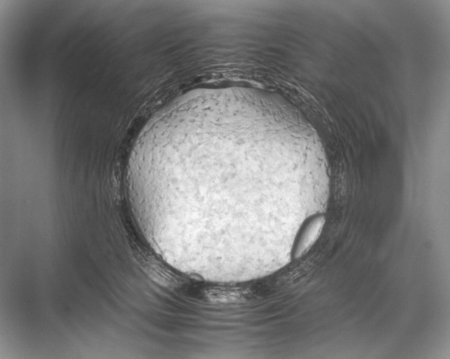 X0000067830661200605041625