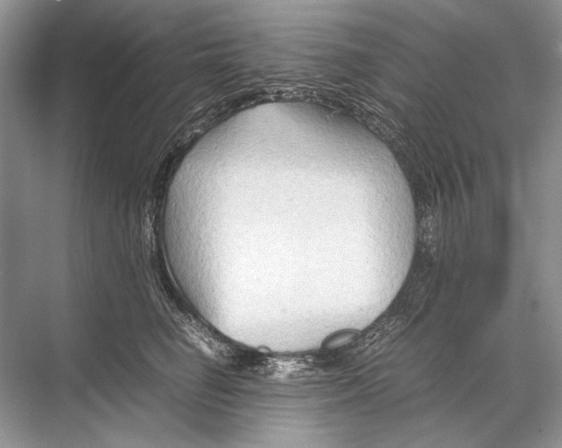 X0000067830662200605041625