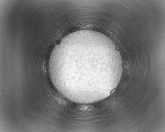 X0000067830663200605041625