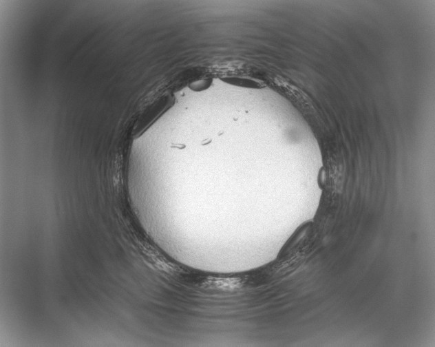 X0000067830665200605041625