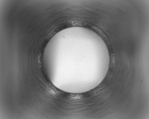 X0000067830667200605041625