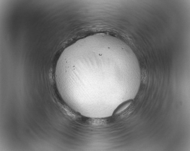 X0000067830670200605041625