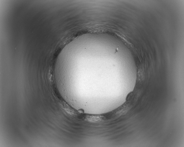 X0000067830671200605041625