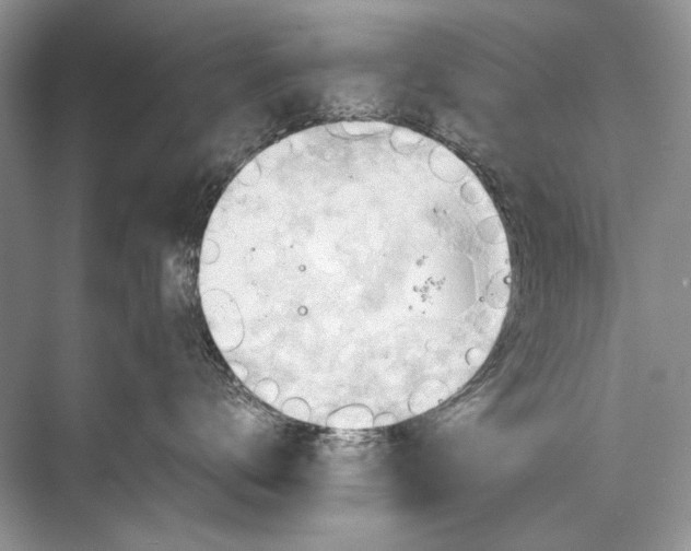 X0000067830672200605041625